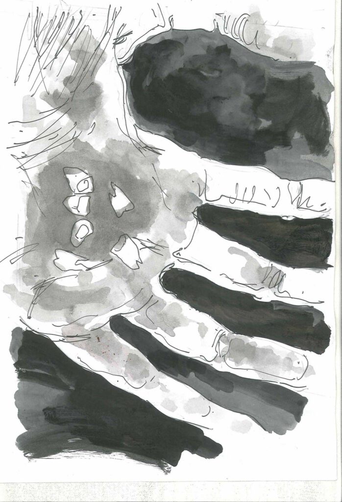 12082816_10206616611006749_498186591_o