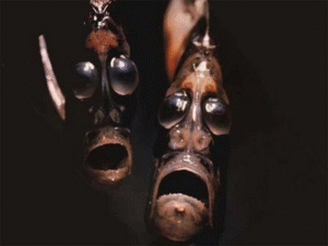 ScaryFish