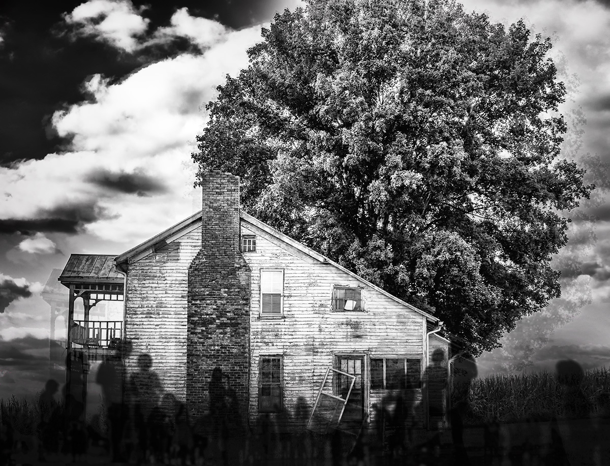 Womens Work by Amelia Aldred Fantasy Fiction