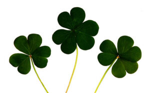 Clovers